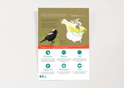 Audubon poster